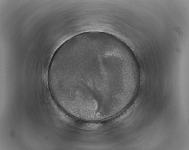 X0000111211513200907221140