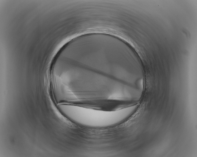 X0000111211515200907221140