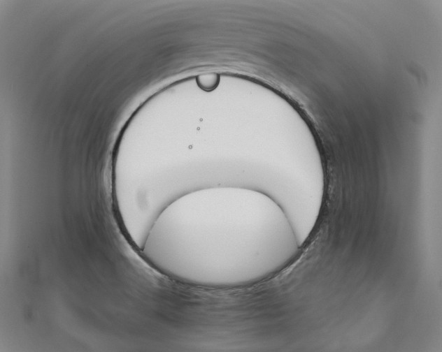 X0000111211516200907221140