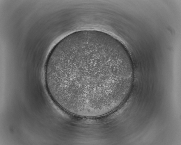 X0000111211517200907221140