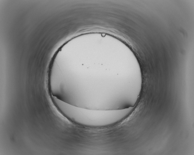 X0000111211518200907221140