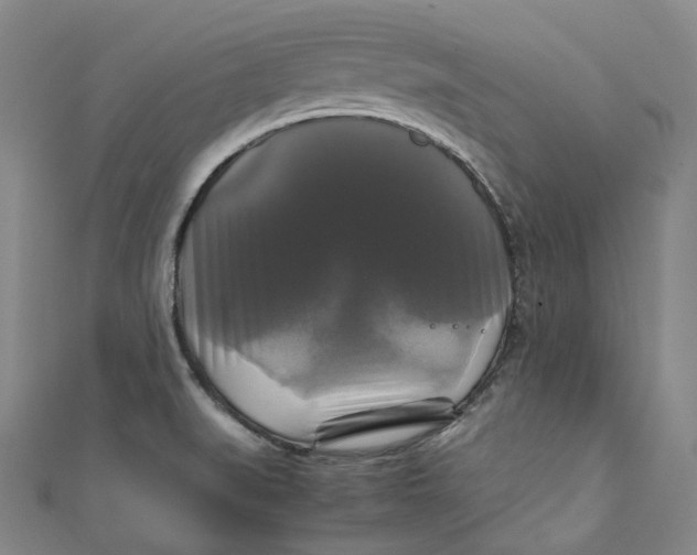 X0000111211519200907221140