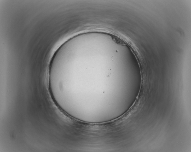 X0000111211520200907221140