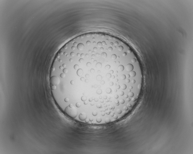 X0000111211521200907221140