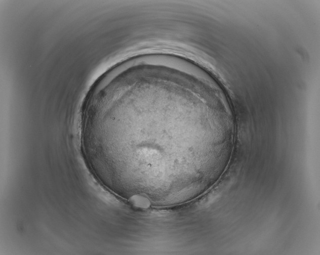 X0000111211522200907221140