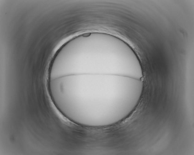 X0000111211523200907221140