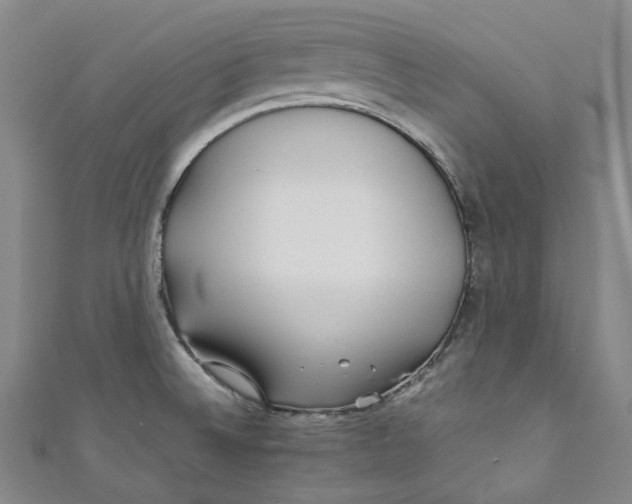 X0000111211524200907221140