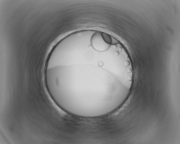 X0000111211525200907221140