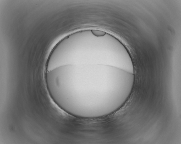 X0000111211527200907221140