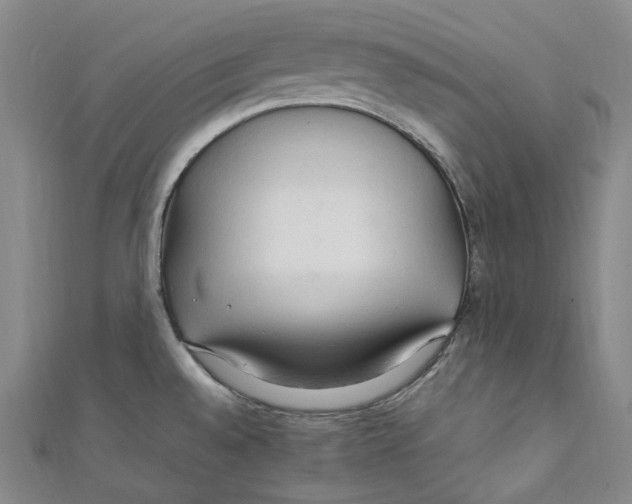 X0000111211528200907221140