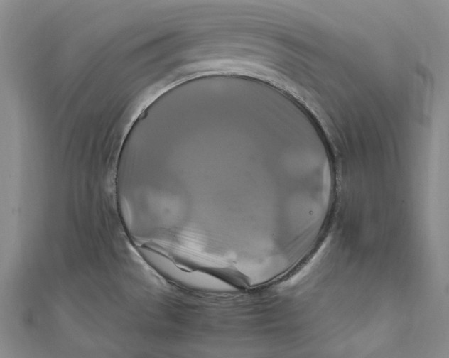 X0000111211529200907221140