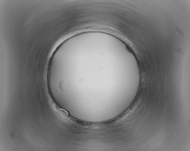 X0000111211530200907221140