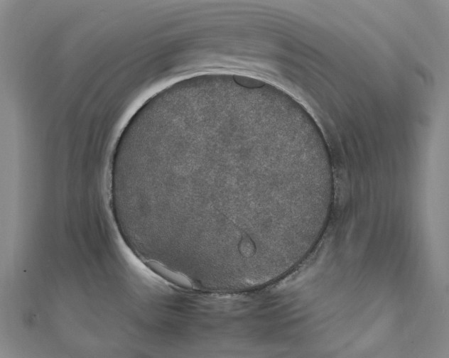 X0000111211531200907221140