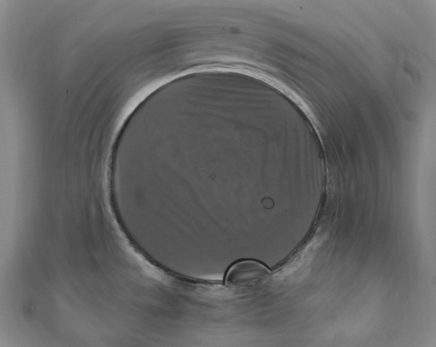 X0000111211533200907221140