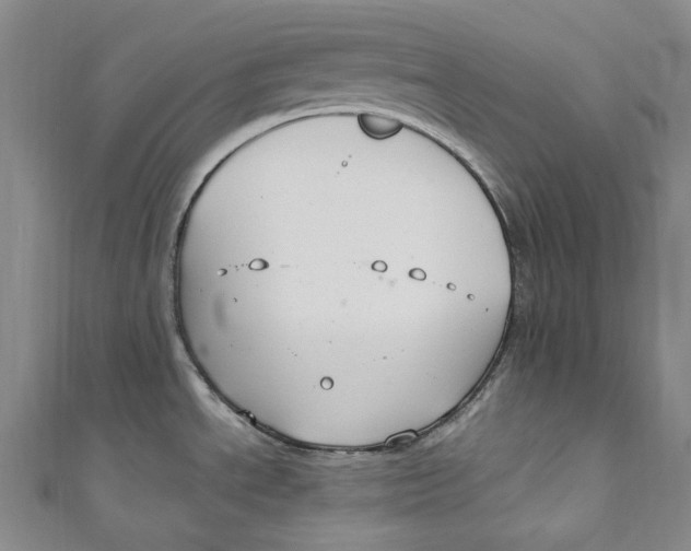 X0000111211534200907221140