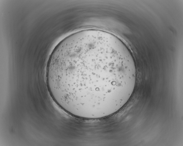 X0000111211535200907221140