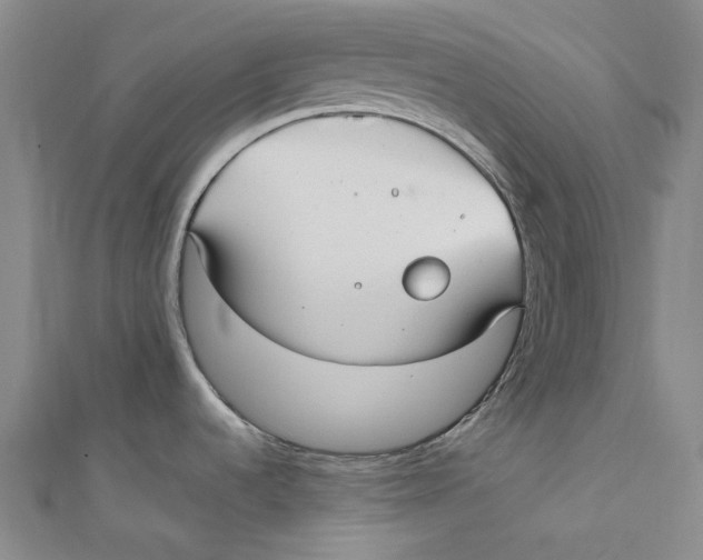 X0000111211536200907221140