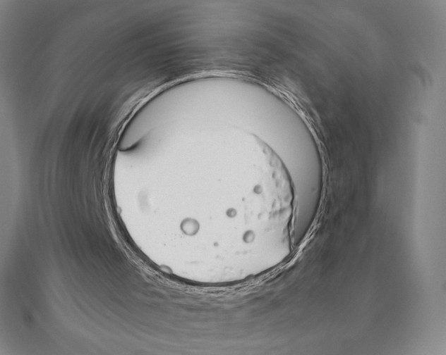 X0000111210001200907291301