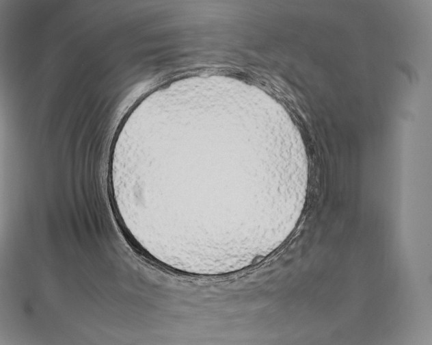 X0000111210003200907291301