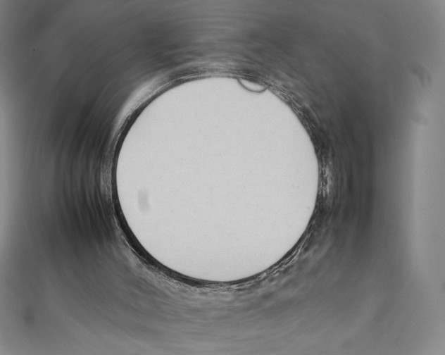 X0000111210004200907291301