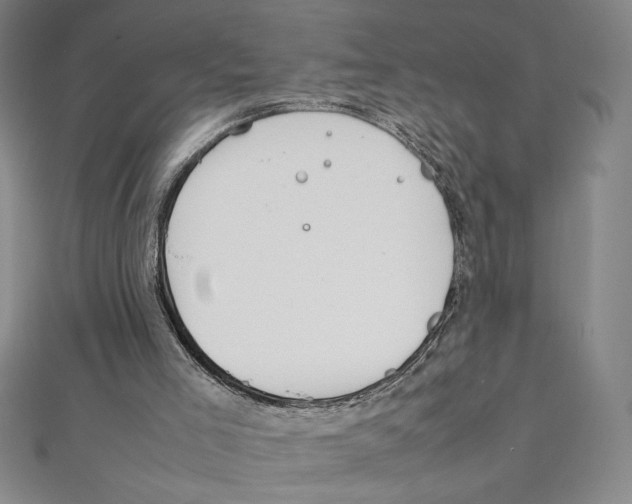 X0000111210005200907291301