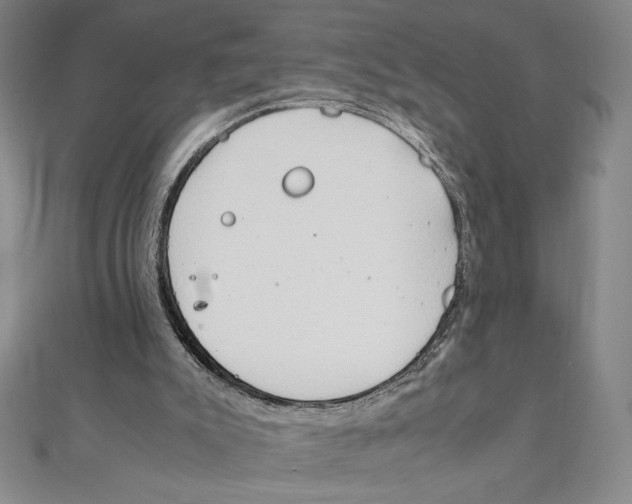 X0000111210007200907291301