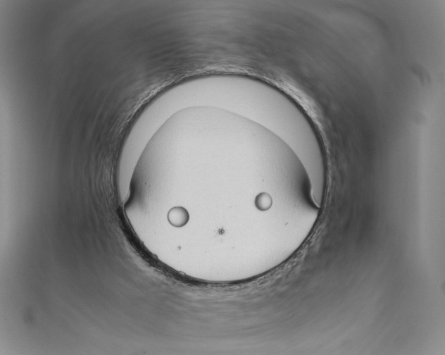 X0000111210009200907291301