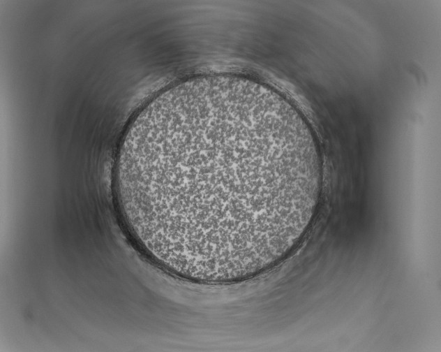 X0000111210010200907291301