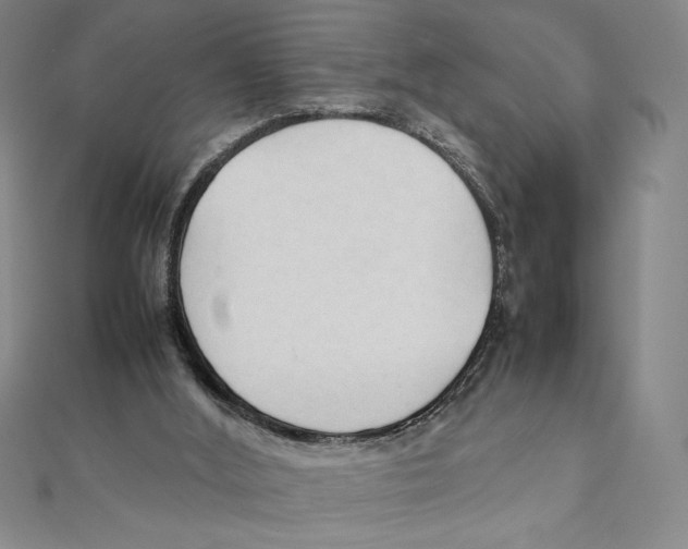 X0000111210012200907291301