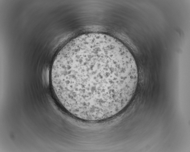 X0000111210014200907291301