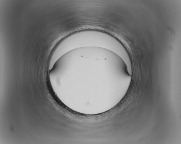 X0000111210015200907291301