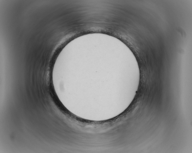 X0000111210016200907291301