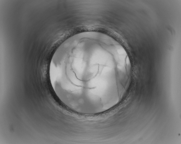 X0000111210018200907291301