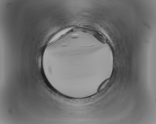 X0000111210019200907291301