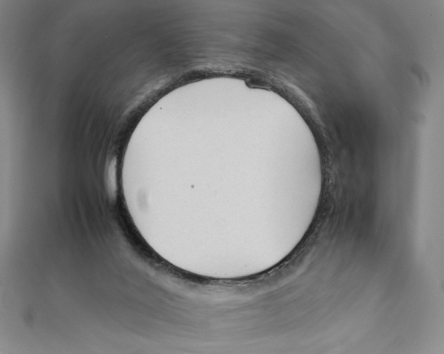 X0000111210020200907291301