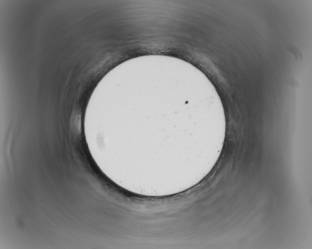 X0000111210021200907291301