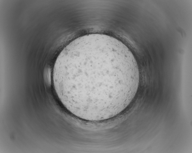 X0000111210022200907291301