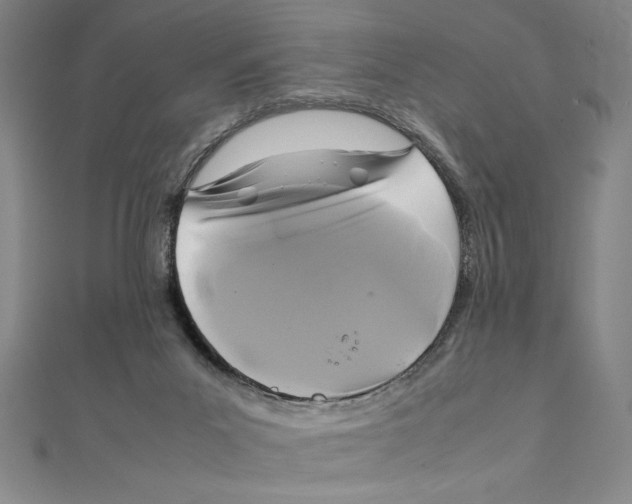 X0000111210023200907291301