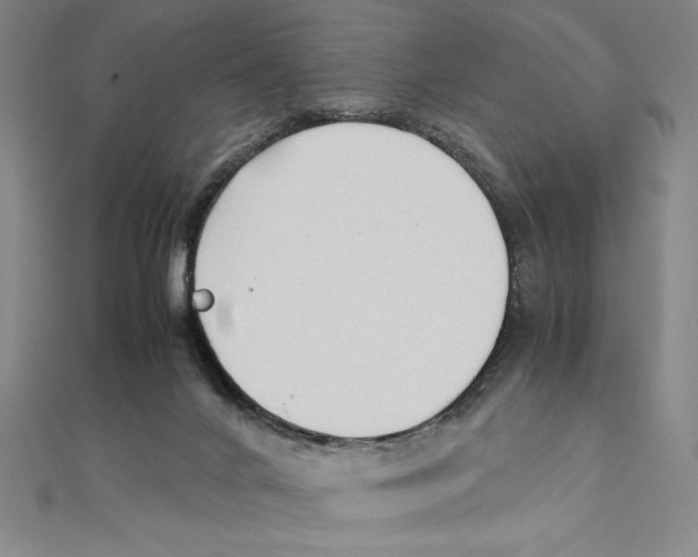 X0000111210024200907291301