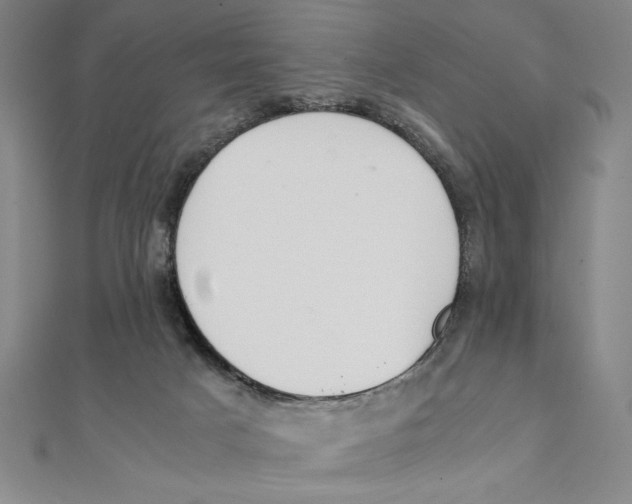 X0000111210025200907291301