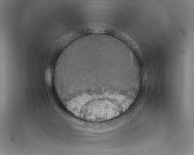 X0000111210026200907291301