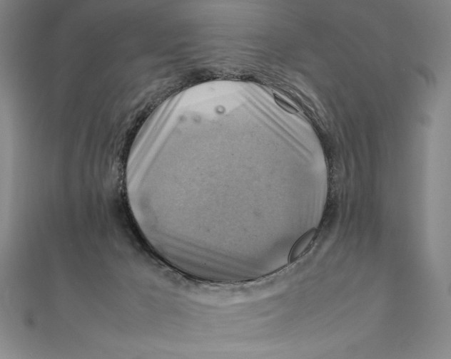 X0000111210029200907291301