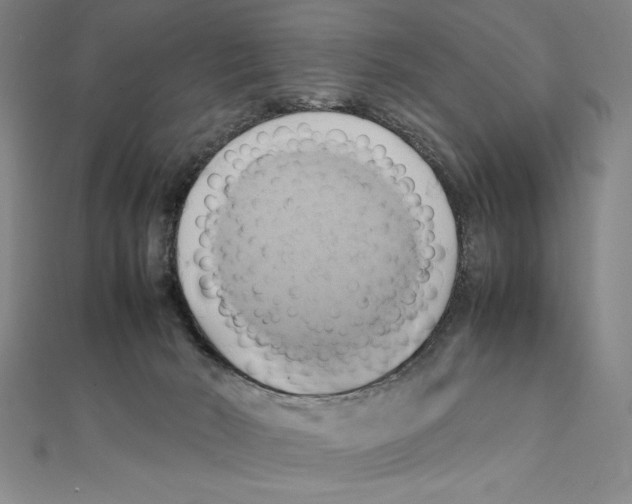 X0000111210030200907291301