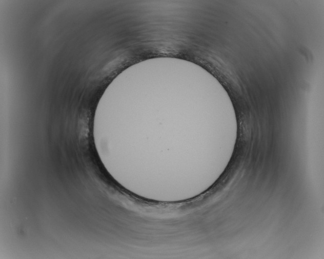 X0000111210032200907291301