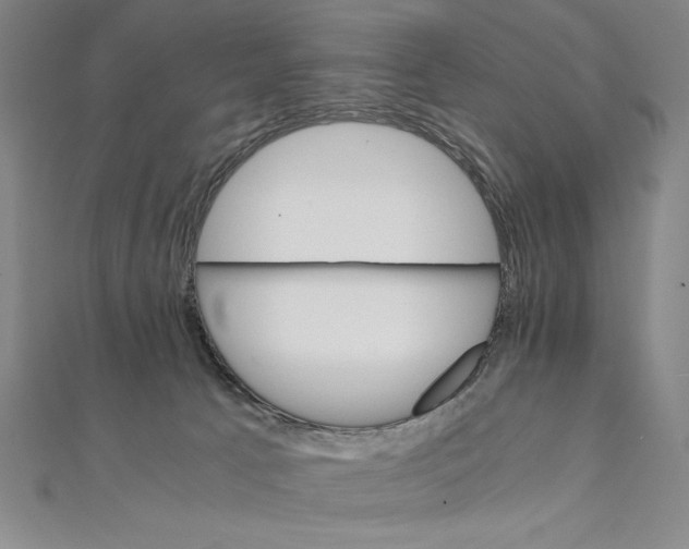 X0000111210033200907291301