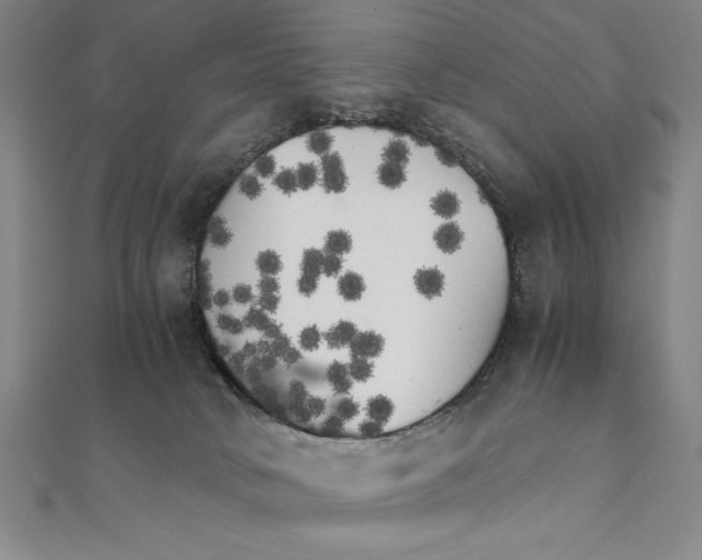 X0000111210034200907291301