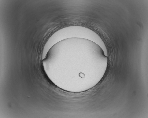 X0000111210035200907291301