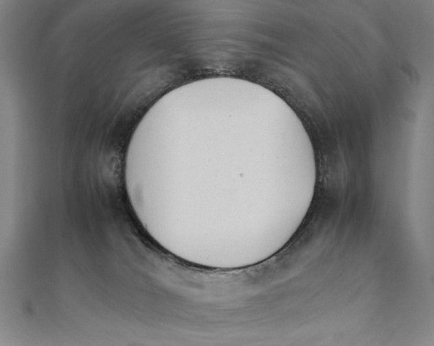 X0000111210036200907291301