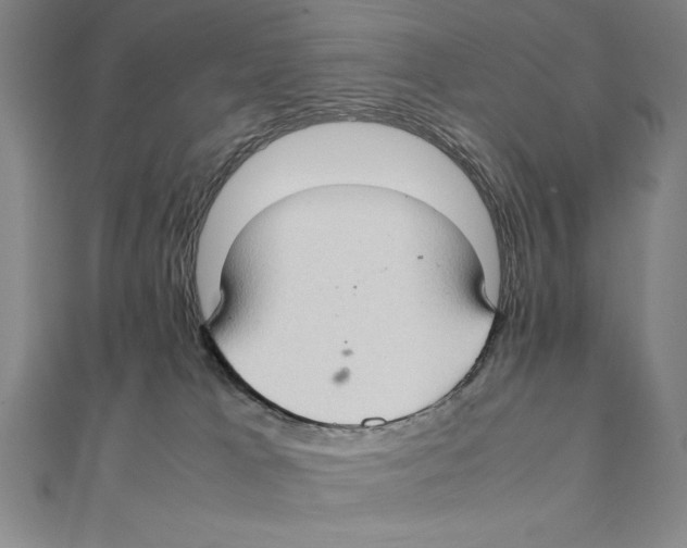 X0000111210037200907291301