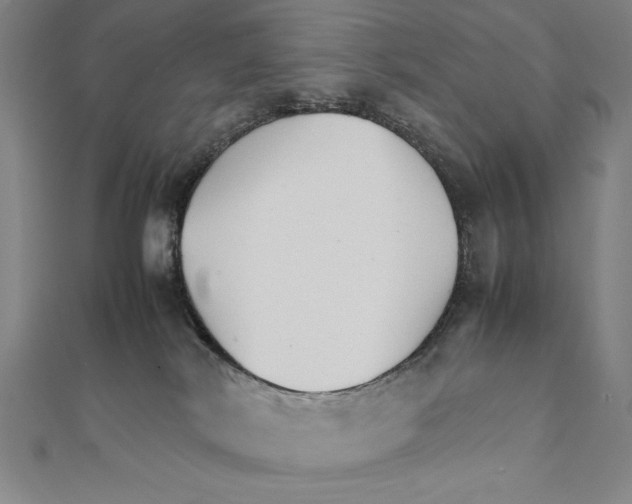 X0000111210038200907291301